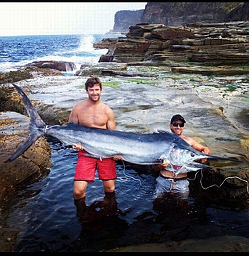 Sydney rock marlin – What’s the story?